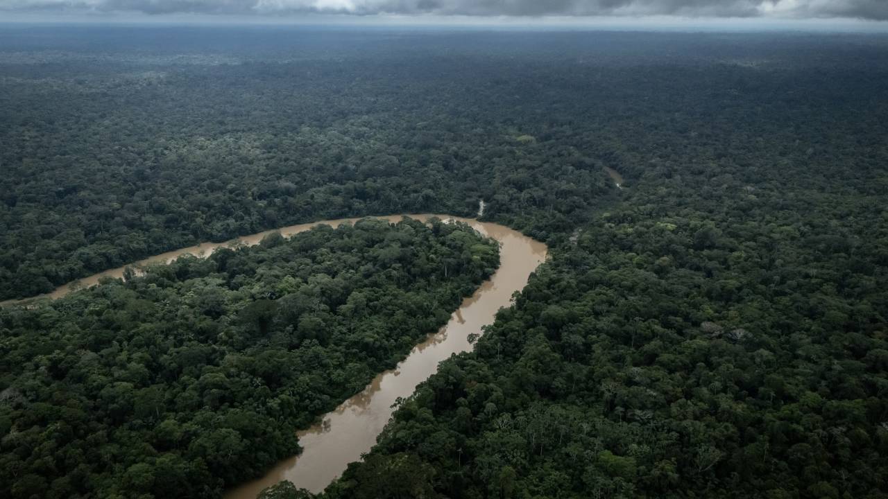Floresta Amazônica. 22/02/2025