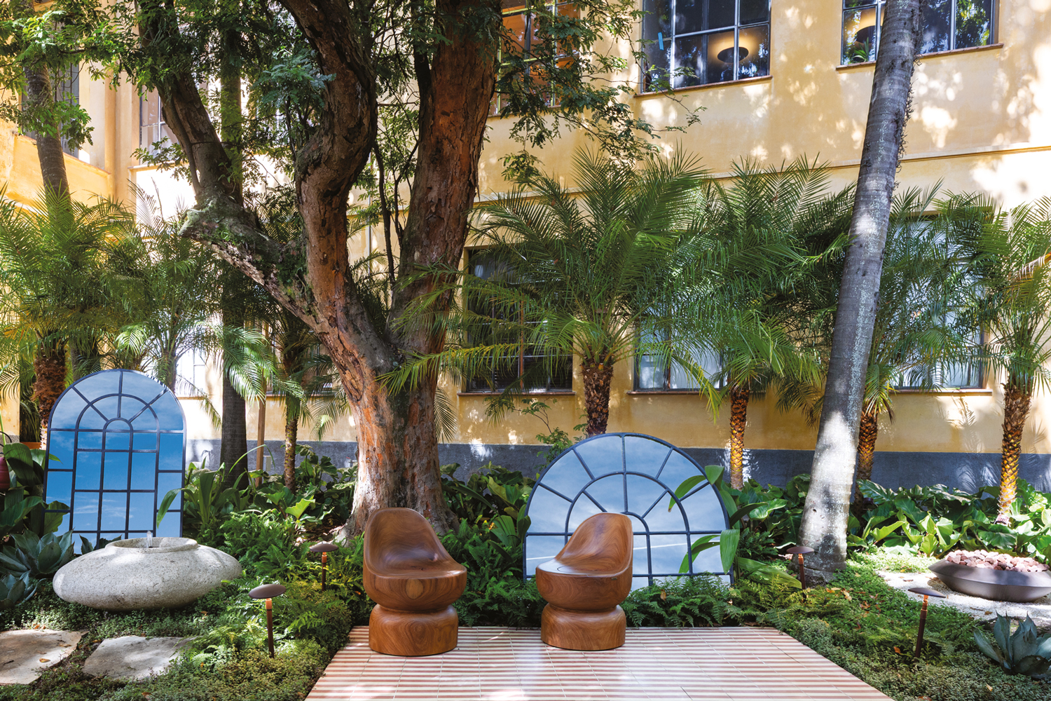 ESPELHO -&ensp;O pau-brasil no jardim de Paula Varga: passado e presente juntos