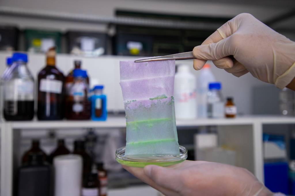 Embalagem inteligente da Embrapa indica se o alimento está bom para consumo