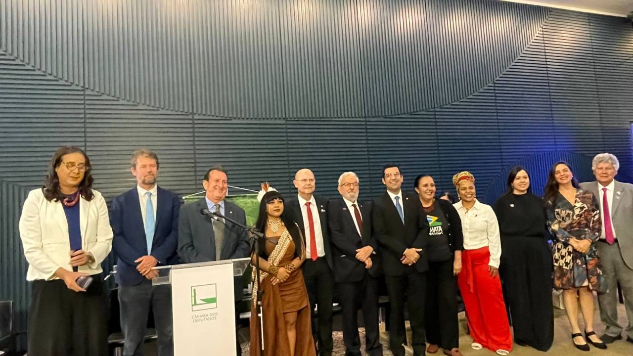 Em ato no Dia da Mata Atlântica, na Câmara, deputados criticam PL da Devastação e ataques à ministra do meio ambiente
