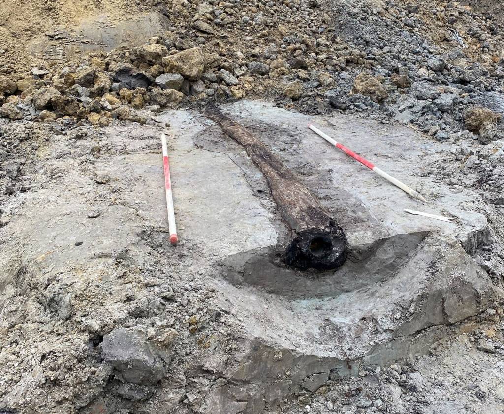 Tubo romano de 1.800 anos é achado intacto sob rua na Bélgica