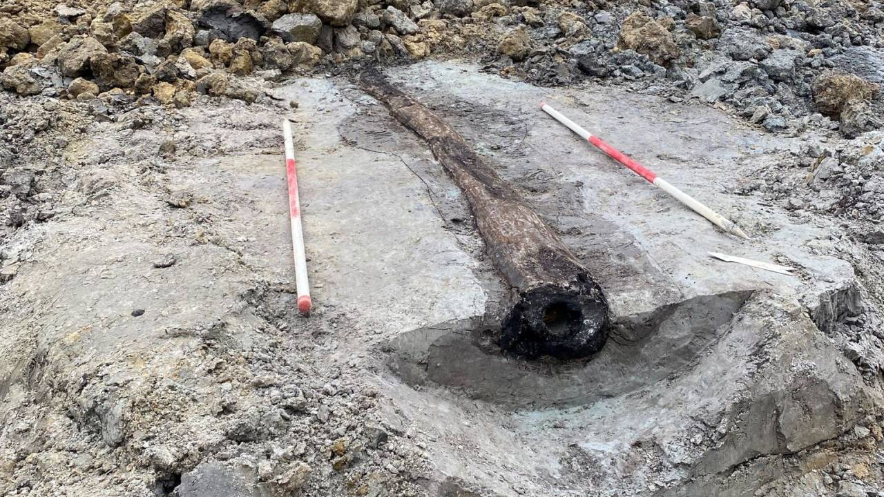 Canal de madeira construído pelos romanos com troncos ocos, encontrado a quatro metros de profundidade durante escavações em Leuven, na Bélgica.