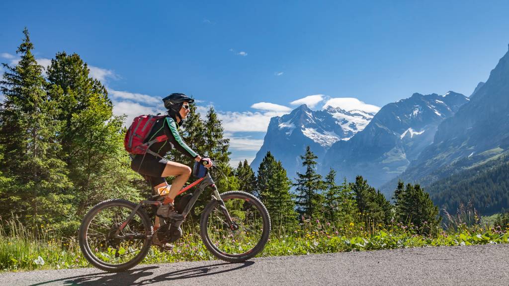 Em ritmo de aventura: cicloturismo ganha espaço no Brasil, apesar dos obstáculos