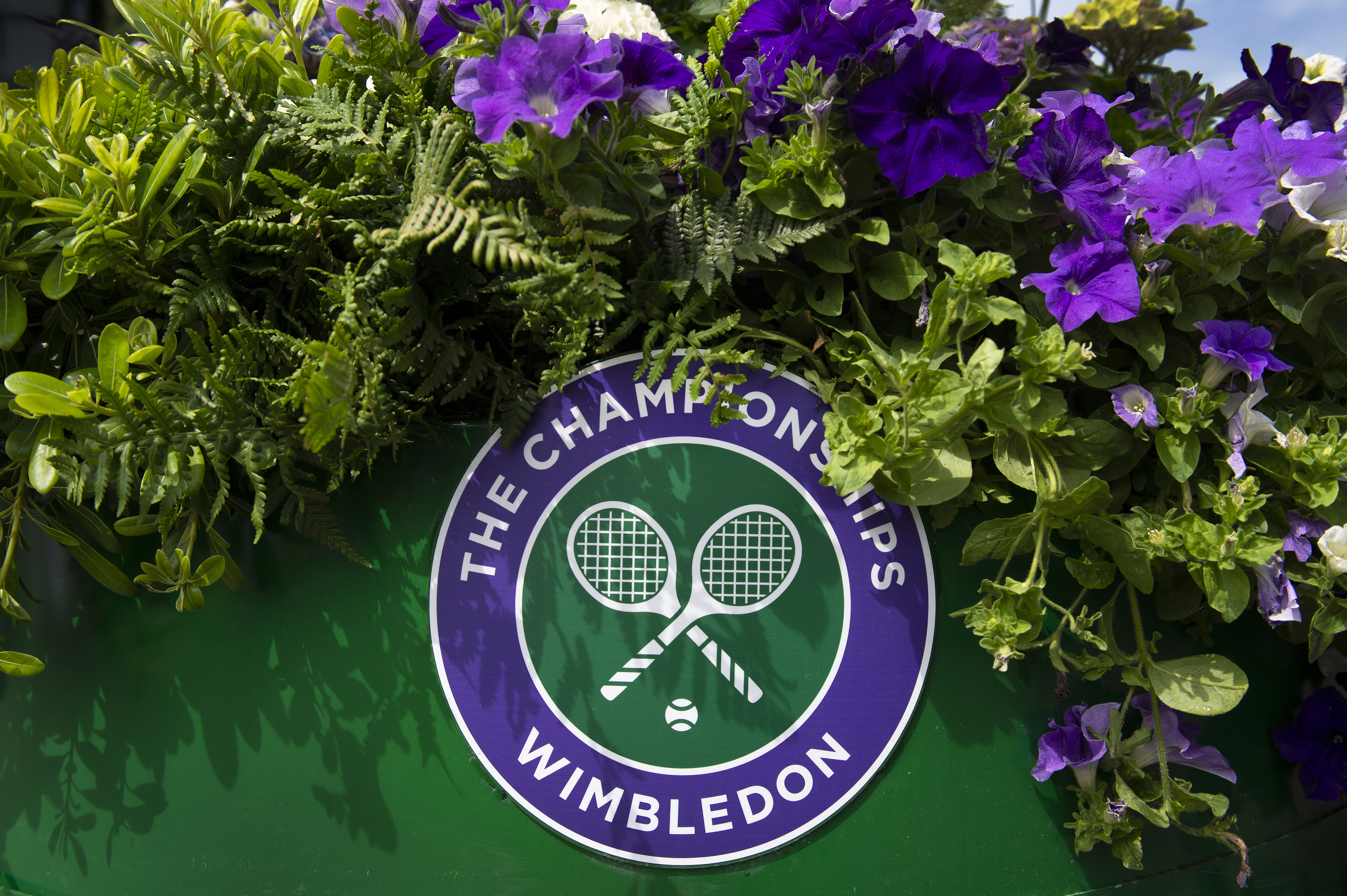 Wimbledon: João Fonseca é cabeça de chave, o retorno de Serena Williams e brasileiros no qualificatório