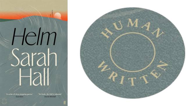 helm_with_human_written1