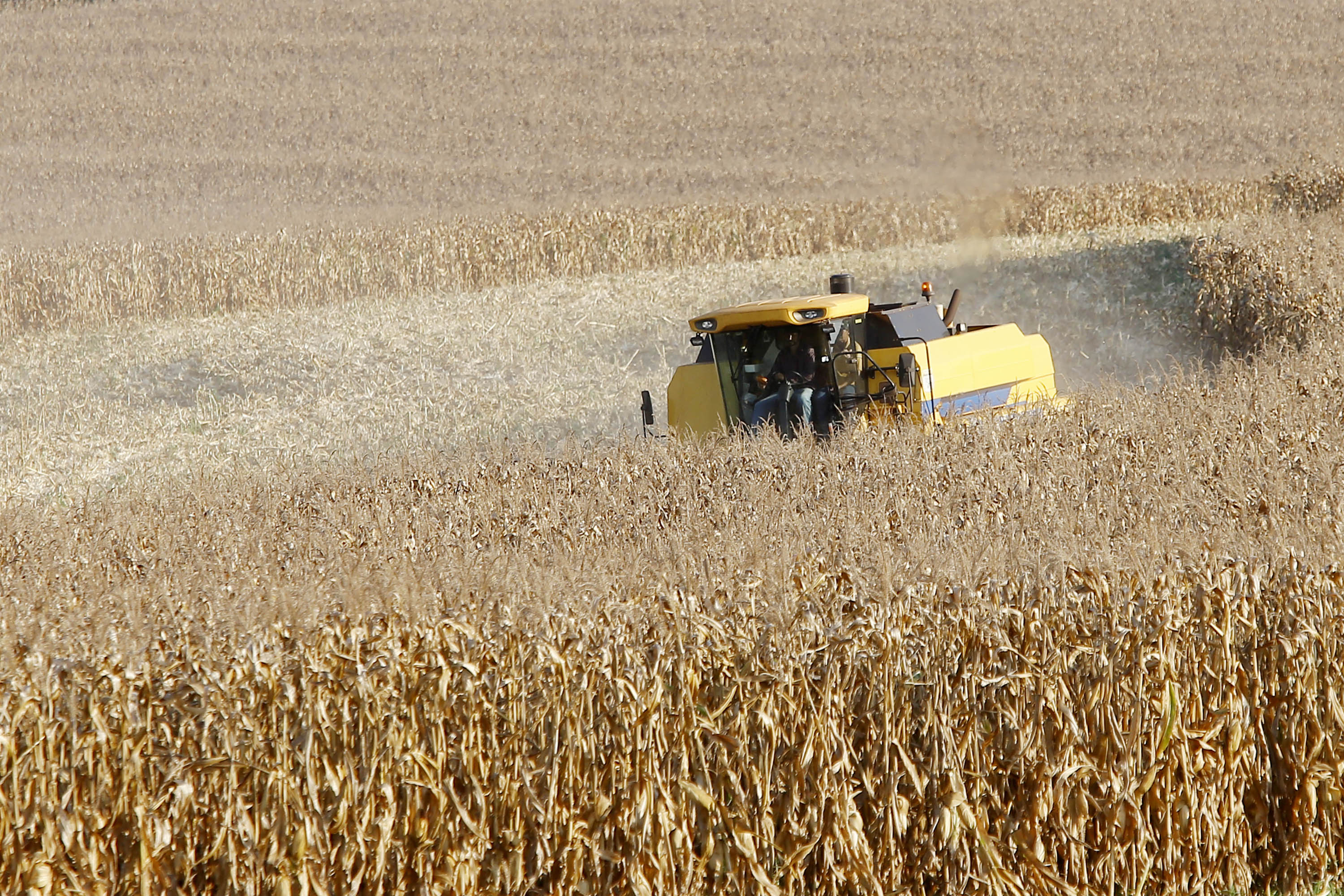 Puxado por agropecuária, PIB do Paraná cresce mais que o dos EUA em 2025