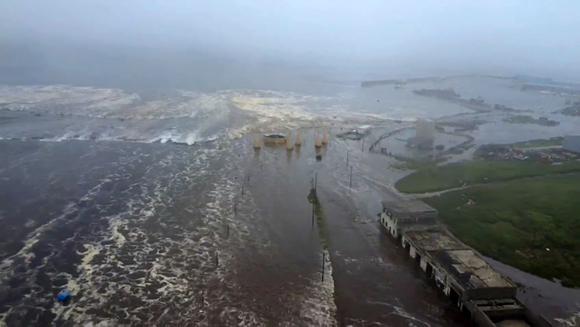 Vídeos: tsunami deixa baleias encalhadas no Japão e força fuga de leões-marinhos na Rússia