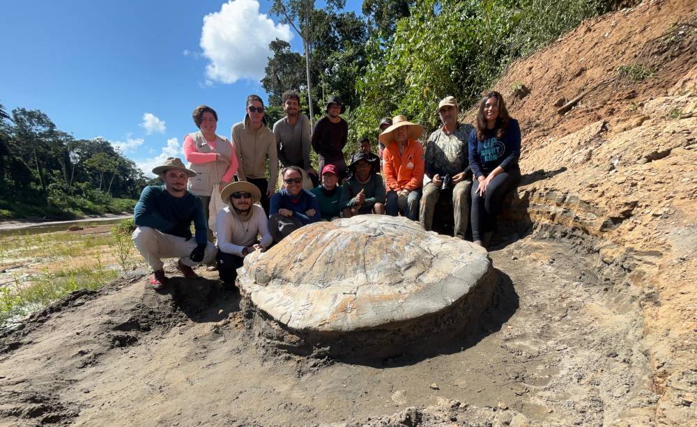 Fóssil de tartaruga gigante com mais de 10 milhões de anos é encontrada no Acre