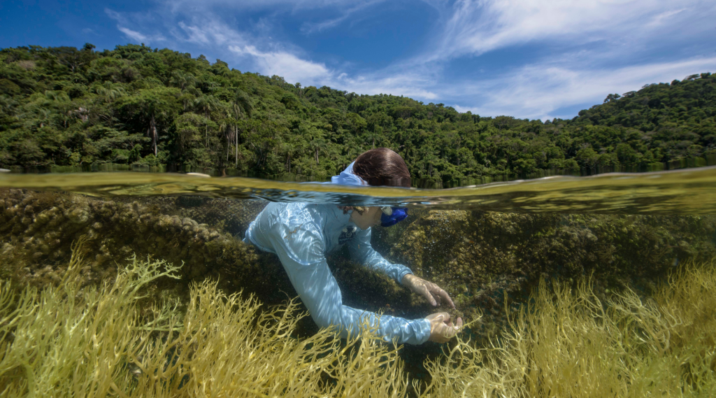 PRIO lança instituto para ações socioambientais