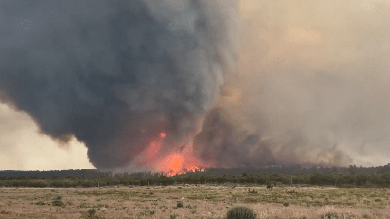 Incêndio florestal em Utah, nos EUA, vira 'tornado de fogo' em meio a clima seco e ventos fortes. 12/07/2025 -