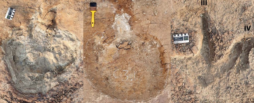 Dinossauros de espécies diferentes podem ter andado em rebanhos mistos
