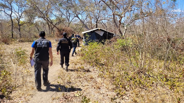 PF e Ministério do Trabalho resgatam 18 vítimas de trabalho escravo em MG