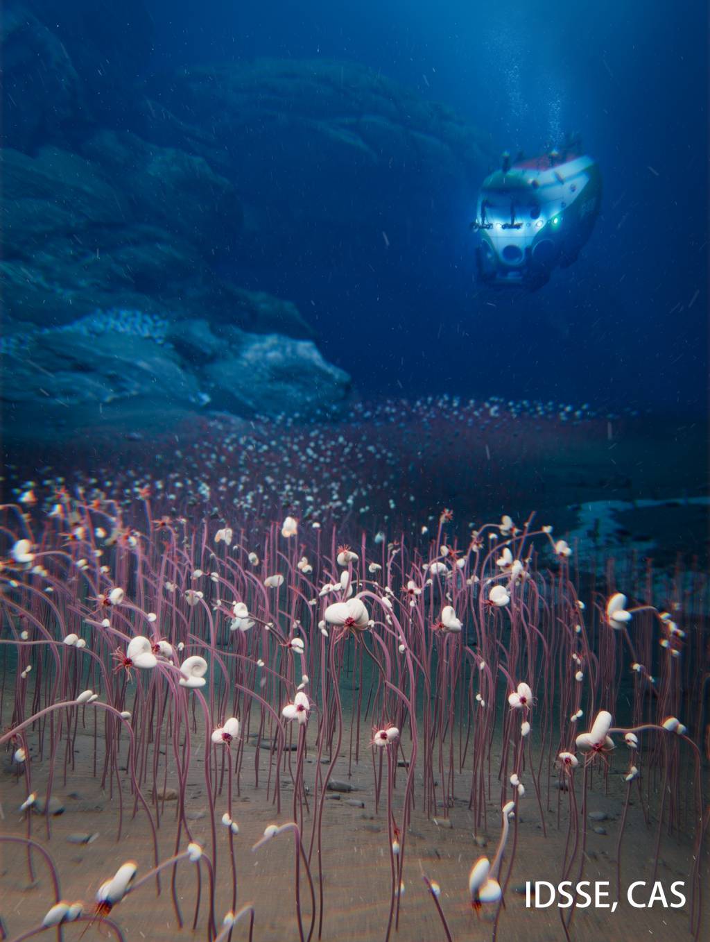 Expedição em fossa abissal encontra novos seres vivos; confira imagens e vídeos