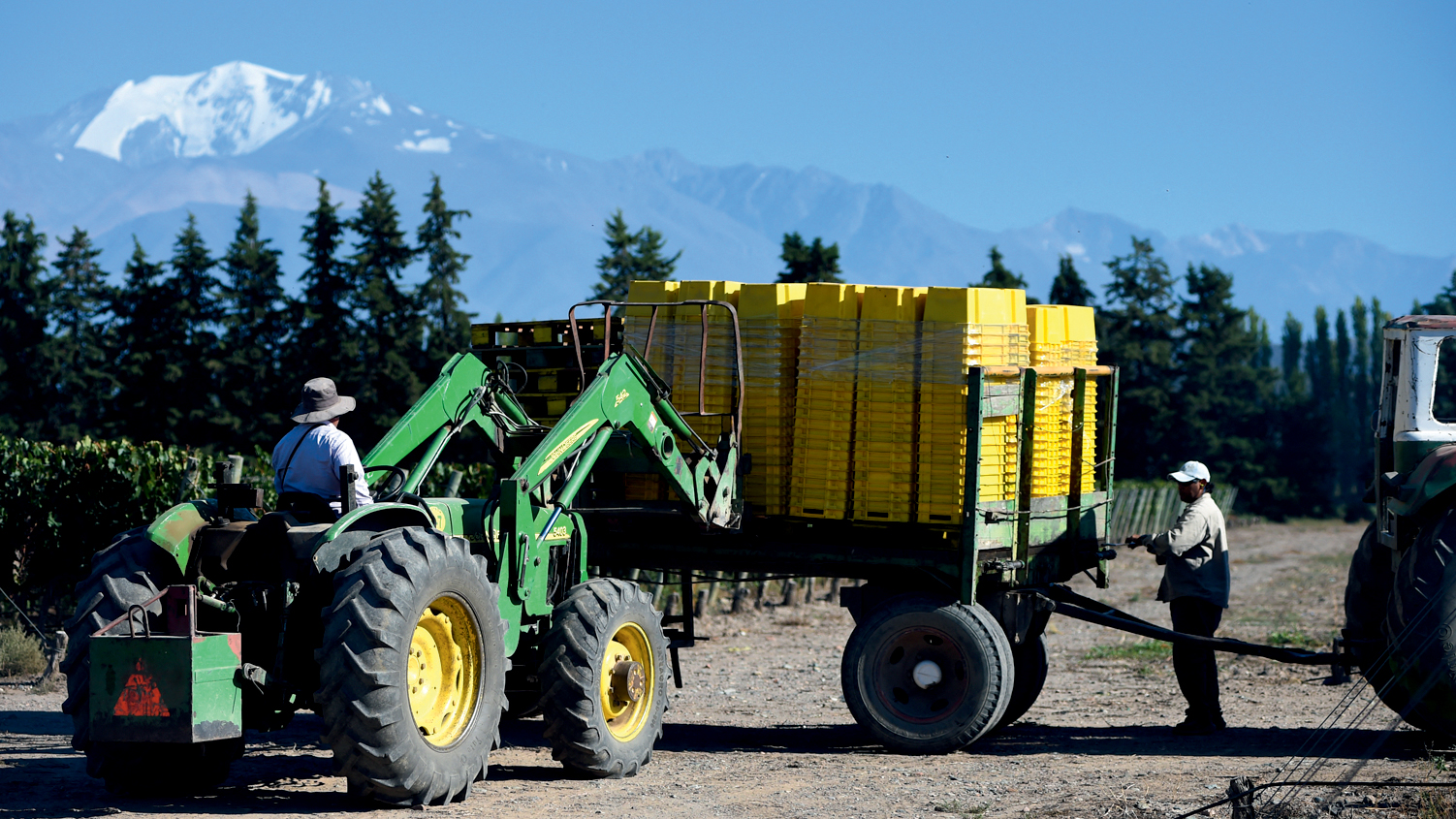 DANDO UM G&Aacute;S -&ensp;Agroneg&oacute;cio: um dos setores que receberam incentivos fiscais &agrave;s v&eacute;speras do pleito