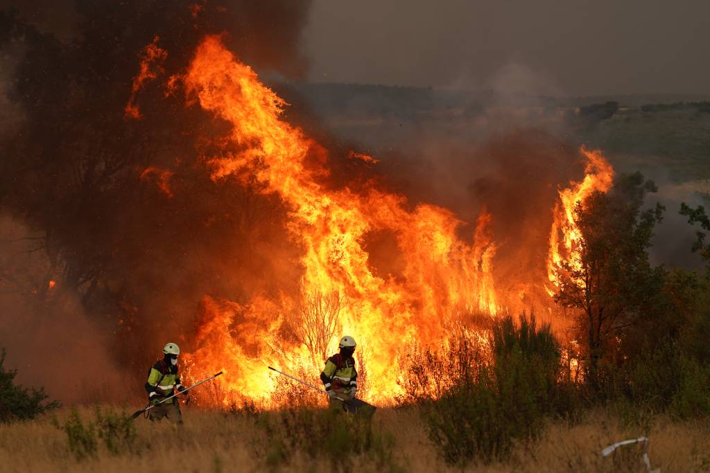 Vídeo: Incêndios florestais deixam um morto e devastam casas em Madri, na Espanha