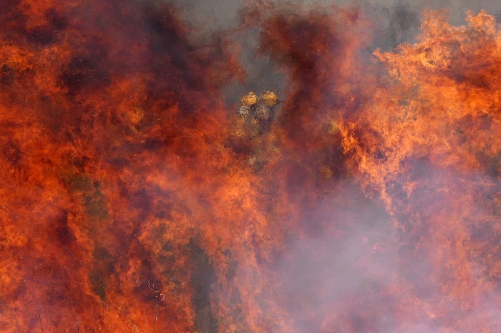 Alimentados por onda de calor e ventos extremos, incêndios florestais devastam Europa