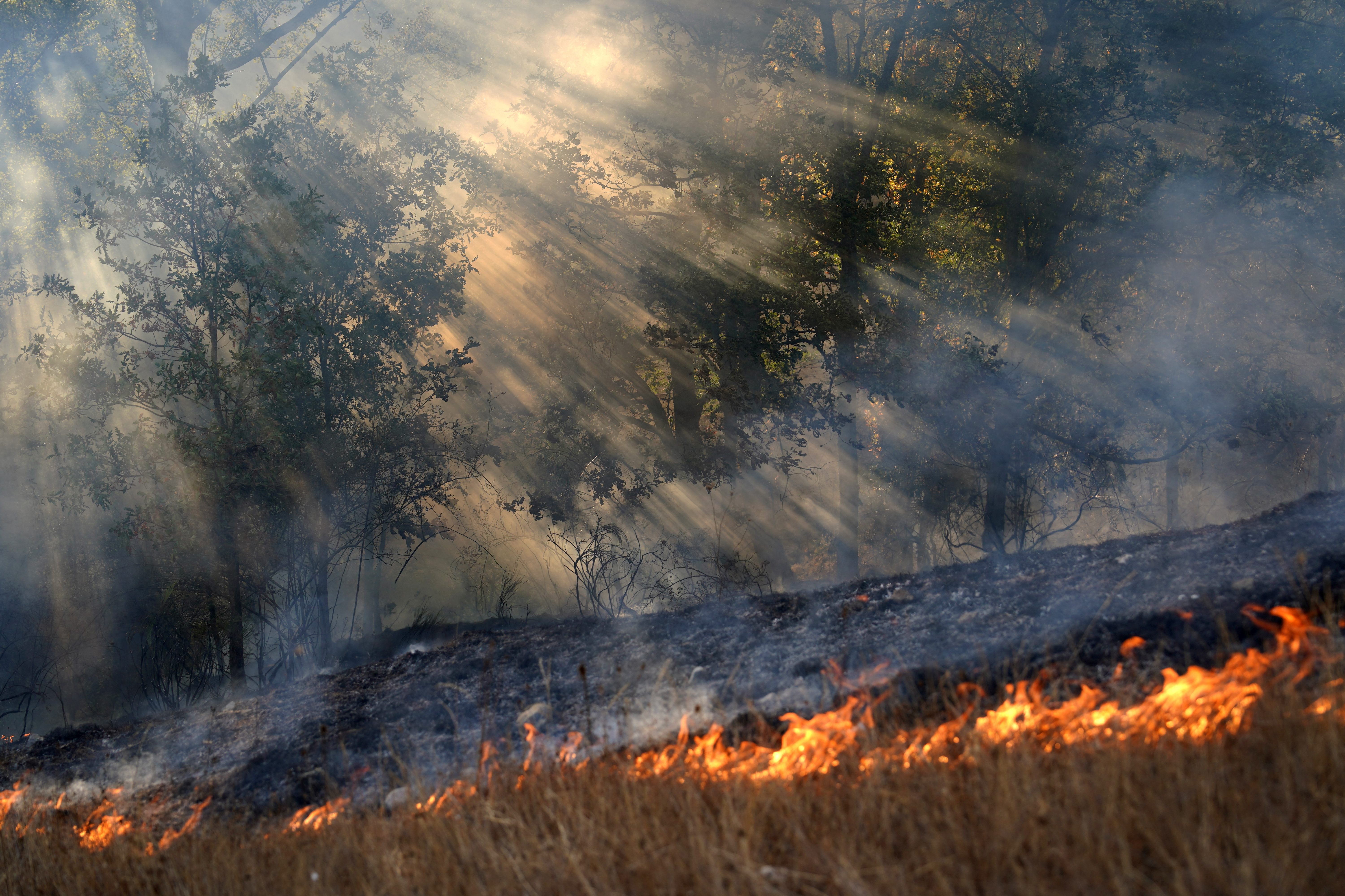 Incêndio florestal avança na Costa Brava e isola cidades na Espanha