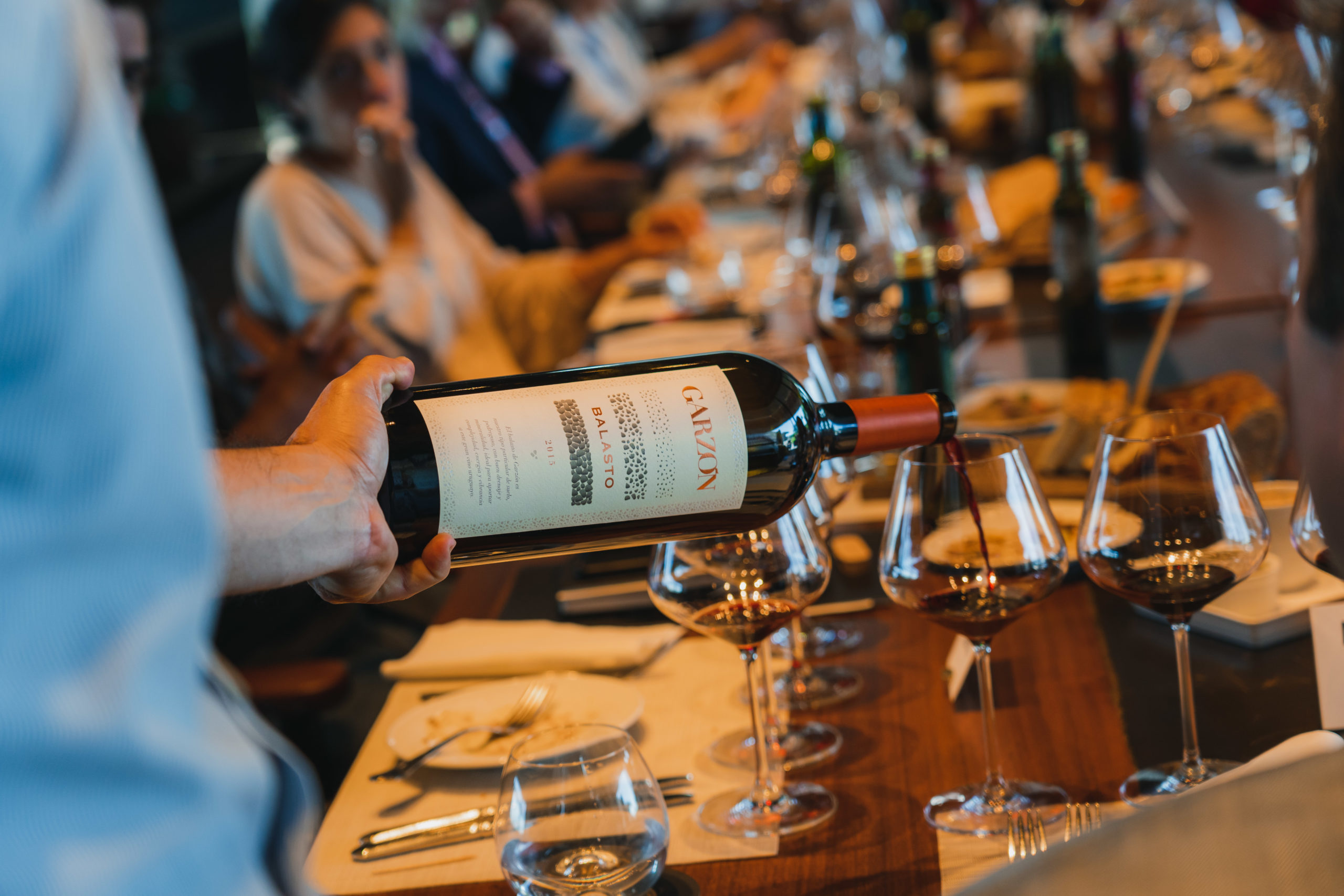 Após receber elogios em Paris, nova safra do vinho ícone do Uruguai chega ao Brasil