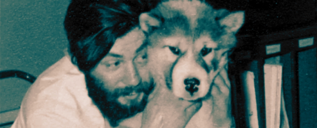 Corpo de cientista é encontrado 66 anos após queda em fenda na Antártida