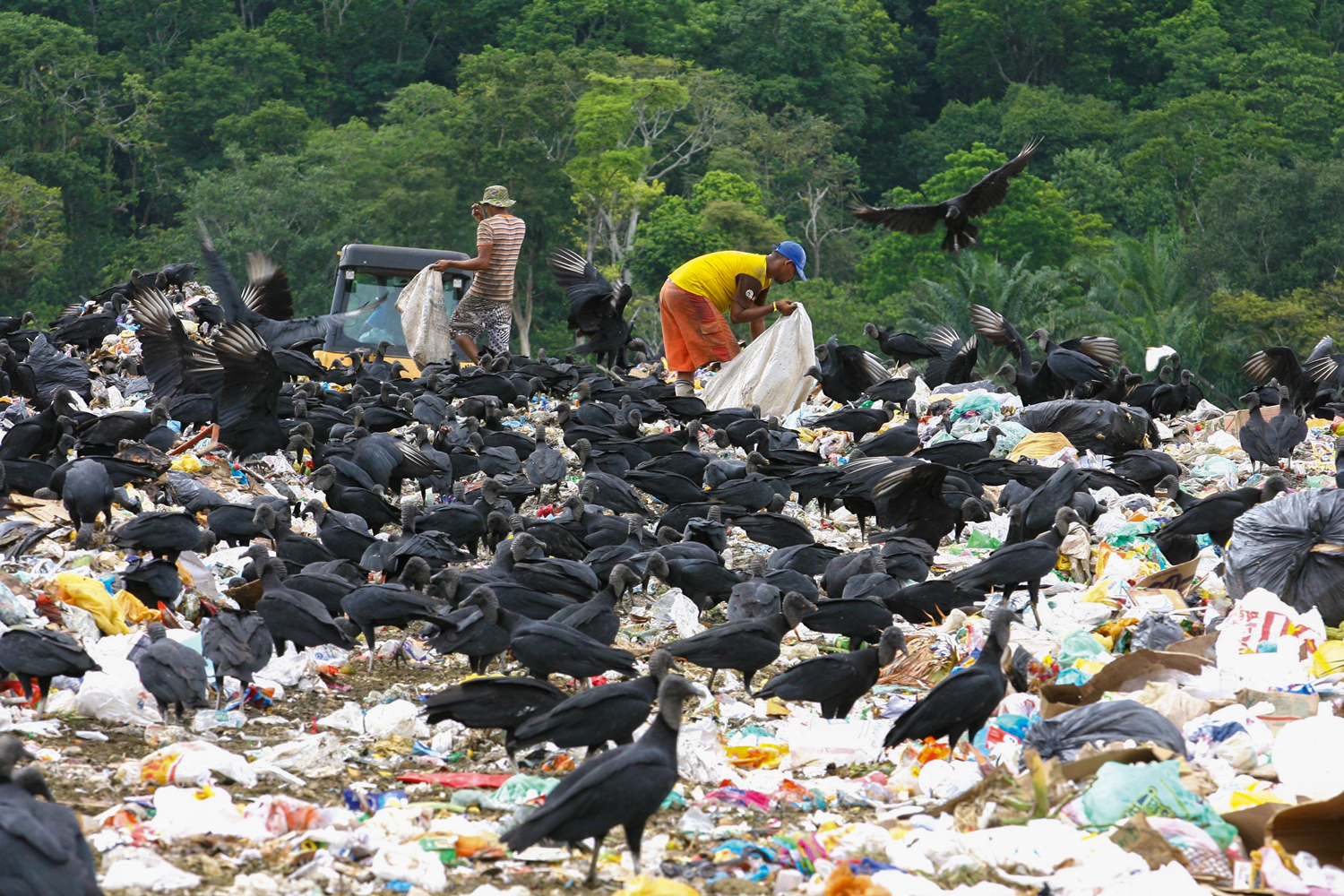 ABUSO -&ensp;&Aacute;reas sem limpeza passam por aterros controlados: brecha na lei