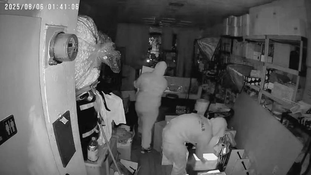 VÍDEO: Ladrões invadem loja e roubam US$ 7 mil em ‘Labubu’ na Califórnia