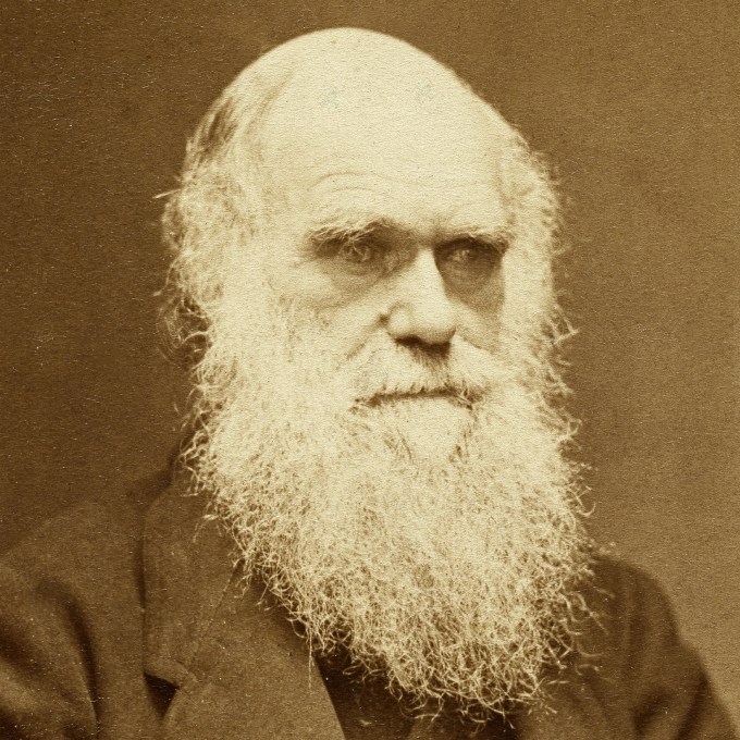 Darwin também tinha minhocas na cabeça
