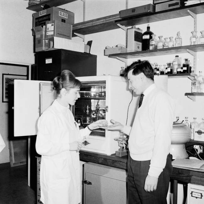 Em laboratório na Universidade de Cambridge, Purdy entrega, em fevereiro de 1968, recipiente com óvulos fecundados in vitro a Robert Edwards Em laboratório na Universidade de Cambridge, Purdy entrega, em fevereiro de 1968, recipiente com óvulos fecundados in vitro a Robert Edwards