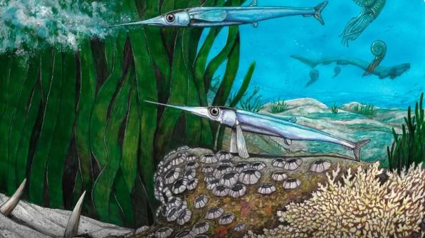Pesquisadores brasileiros identificam nova espécie de peixe pré-histórico