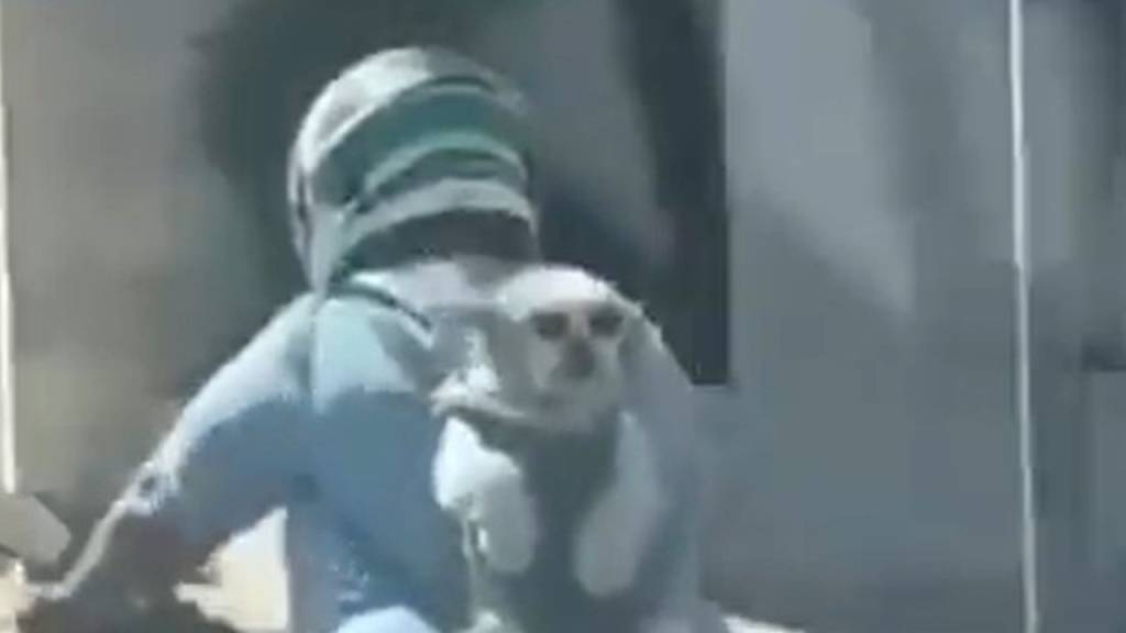 Cachorro – Moto