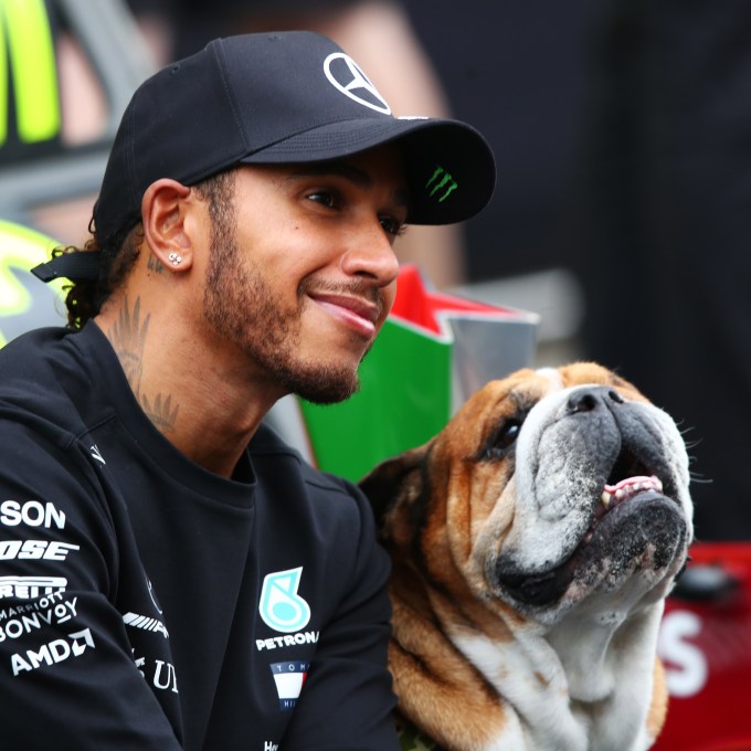 Morre Roscoe, cachorro inseparável de Hamilton