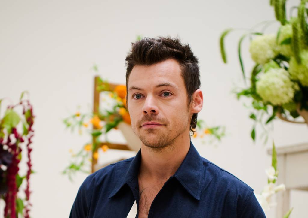 Harry Styles compra quarta mansão para ‘rivalizar’ com Ed Sheeran