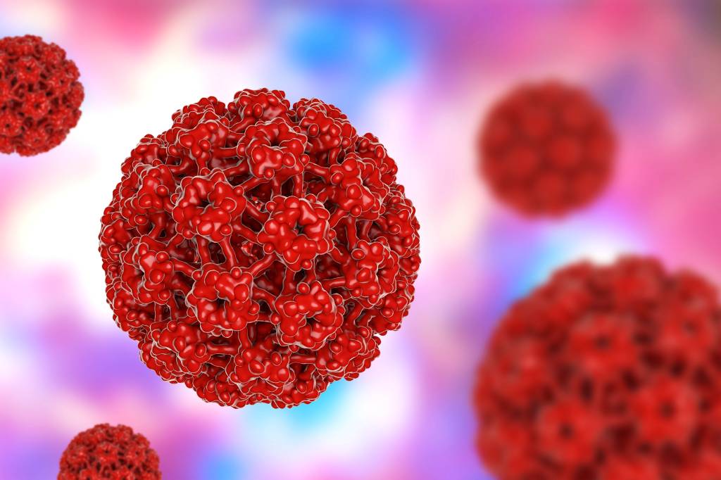 Human papilloma virus, illustration
