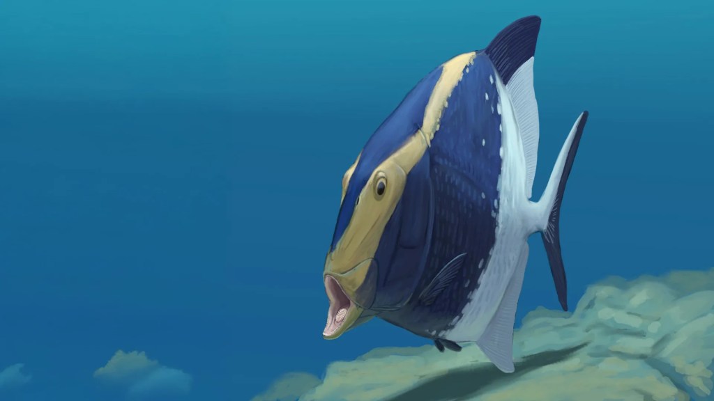 Peixe de 310 milhões de anos tinha dentes na língua e no céu da boca