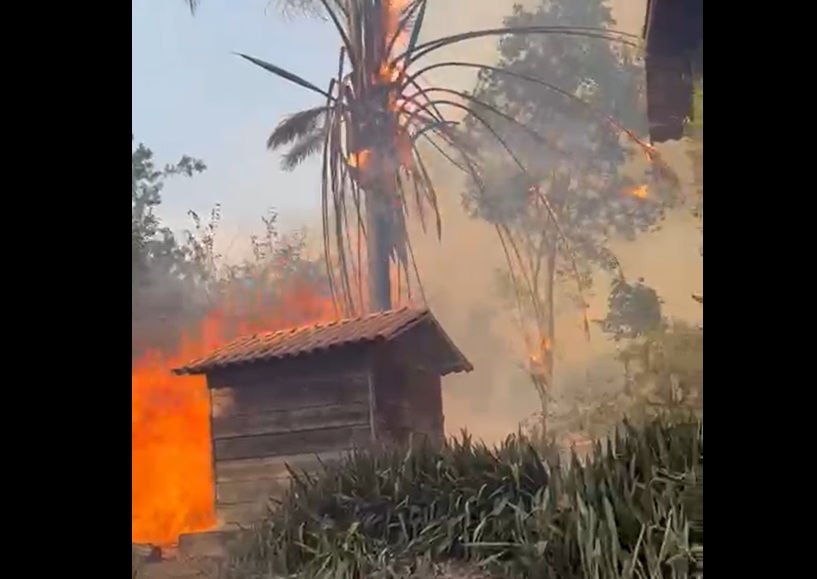 VÍDEO: Fogo atinge chácaras no Distrito Federal e causa pavor entre moradores