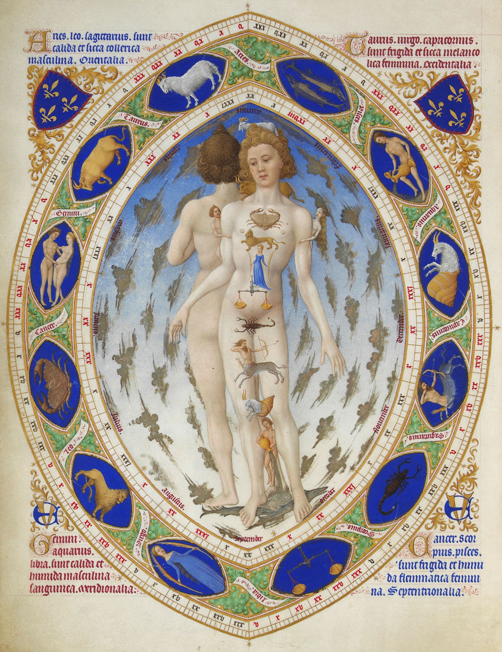 O Homem Zodiacal Anat&ocirc;mico em Les Tr&egrave;s Riches Heures du Duc de Berry (1413&ndash;1416), iluminura em pergaminho