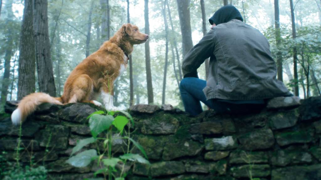 ‘Bom Menino’: novo terror traz ponto de vista canino inusitado