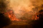 Incêndio destroi o Pantanal, no Mato Grosso do Sul, em 2023: bioma sofre com secas severas em consequência da devastação do Cerrado