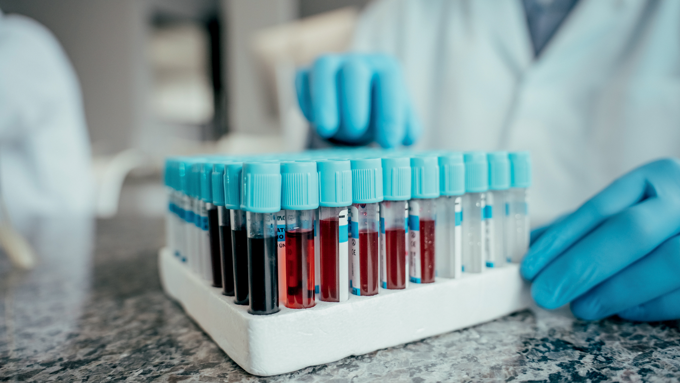 OTIMIZA&Ccedil;&Atilde;O -&ensp;Resultados mais r&aacute;pidos: a an&aacute;lise de dados poupa tempo e define algumas certezas