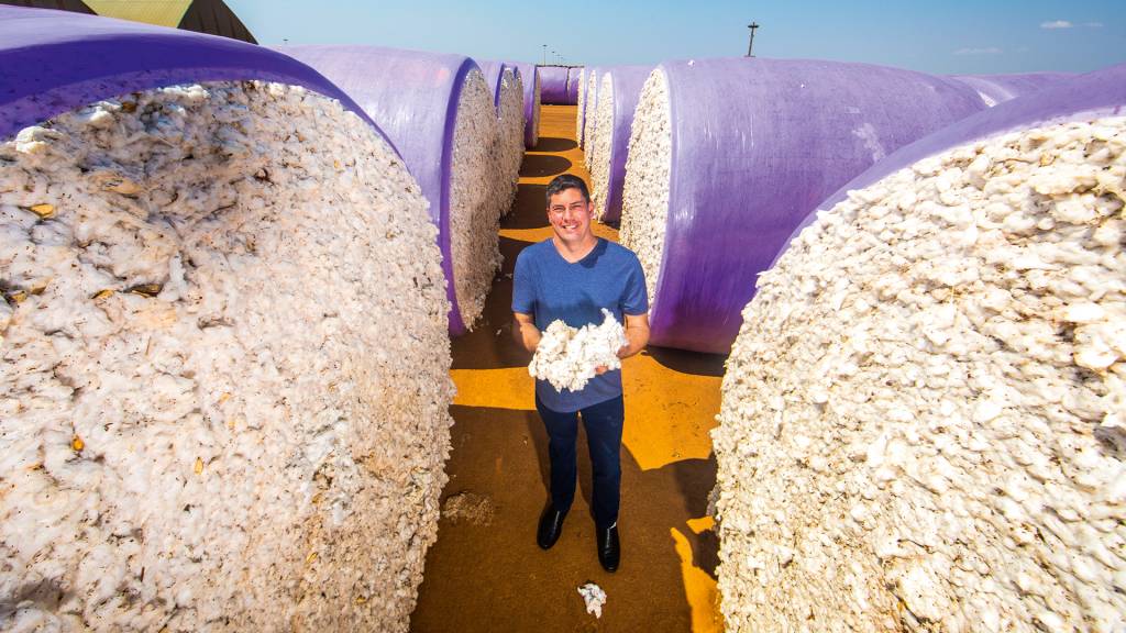 Um solo mais fértil: como o agronegócio pode virar aliado no combate à crise climática
