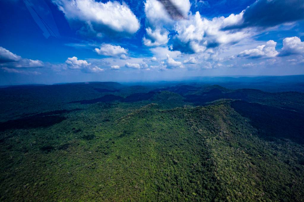 Amazônia produtiva: o modelo de Carajás, no Pará, para unir floresta e desenvolvimento