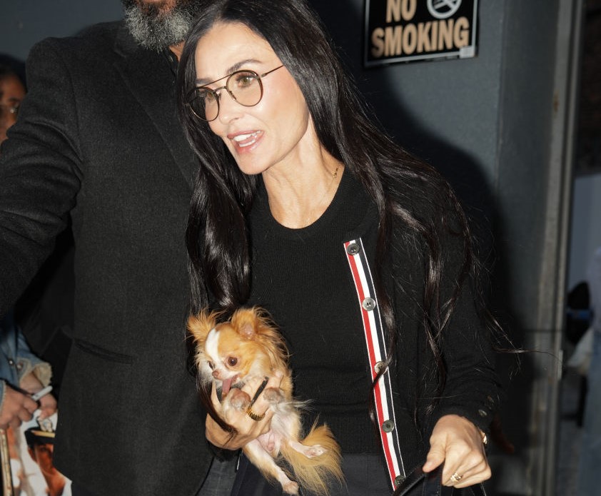 Por que estrelas como Demi Moore e Anne Hathaway amam um cardigã?