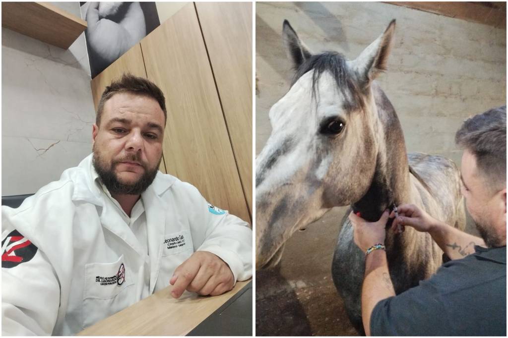 Médico veterinário defende nova e radical visão para velhice animal