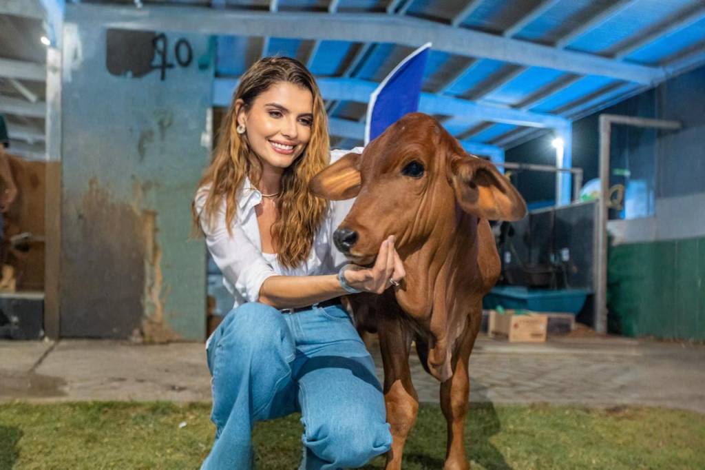 O leilão Nelore da primeira-dama de Maceió
