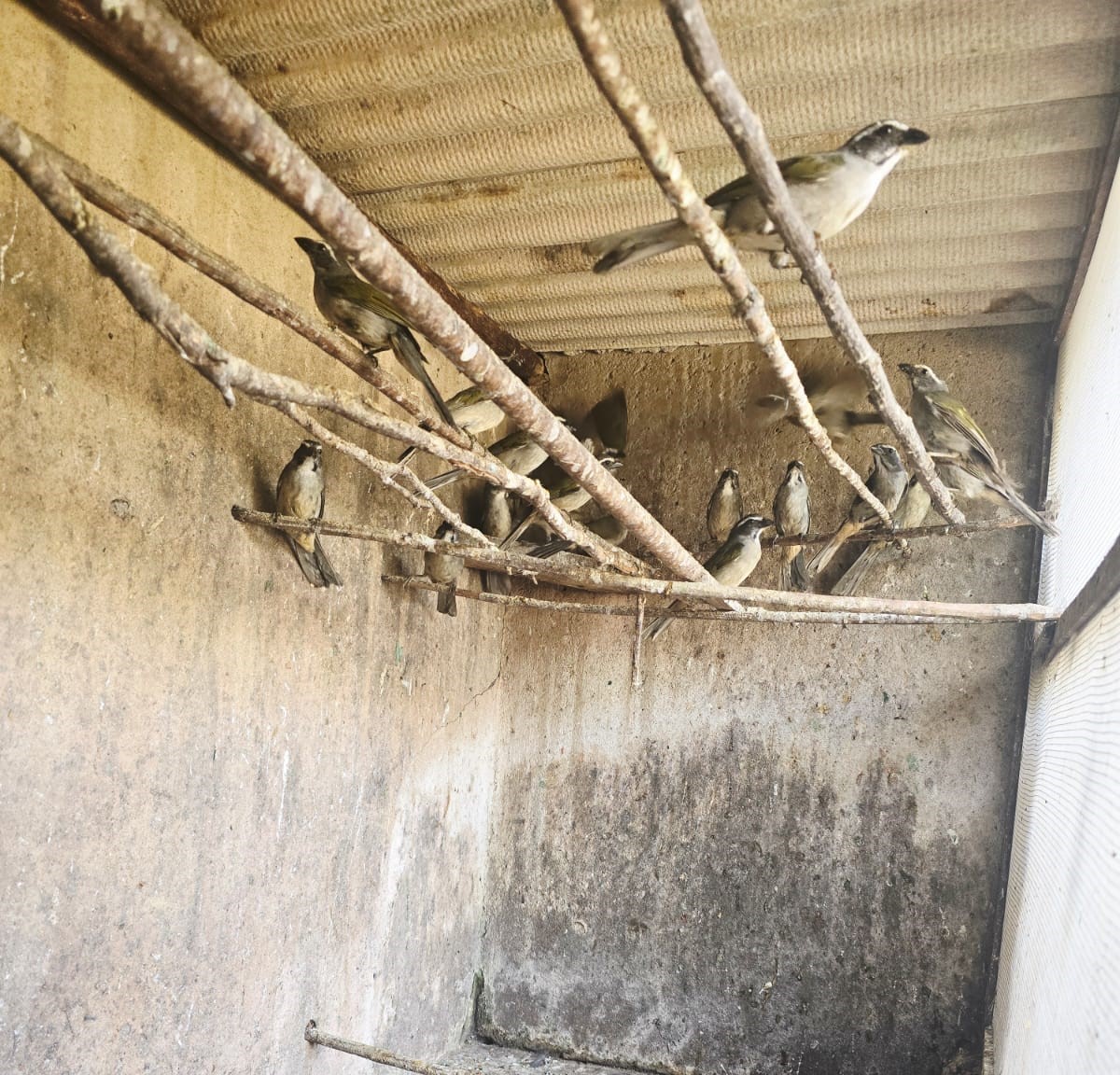 whatsapp_image_2025-11-14_at_13.07.25_0