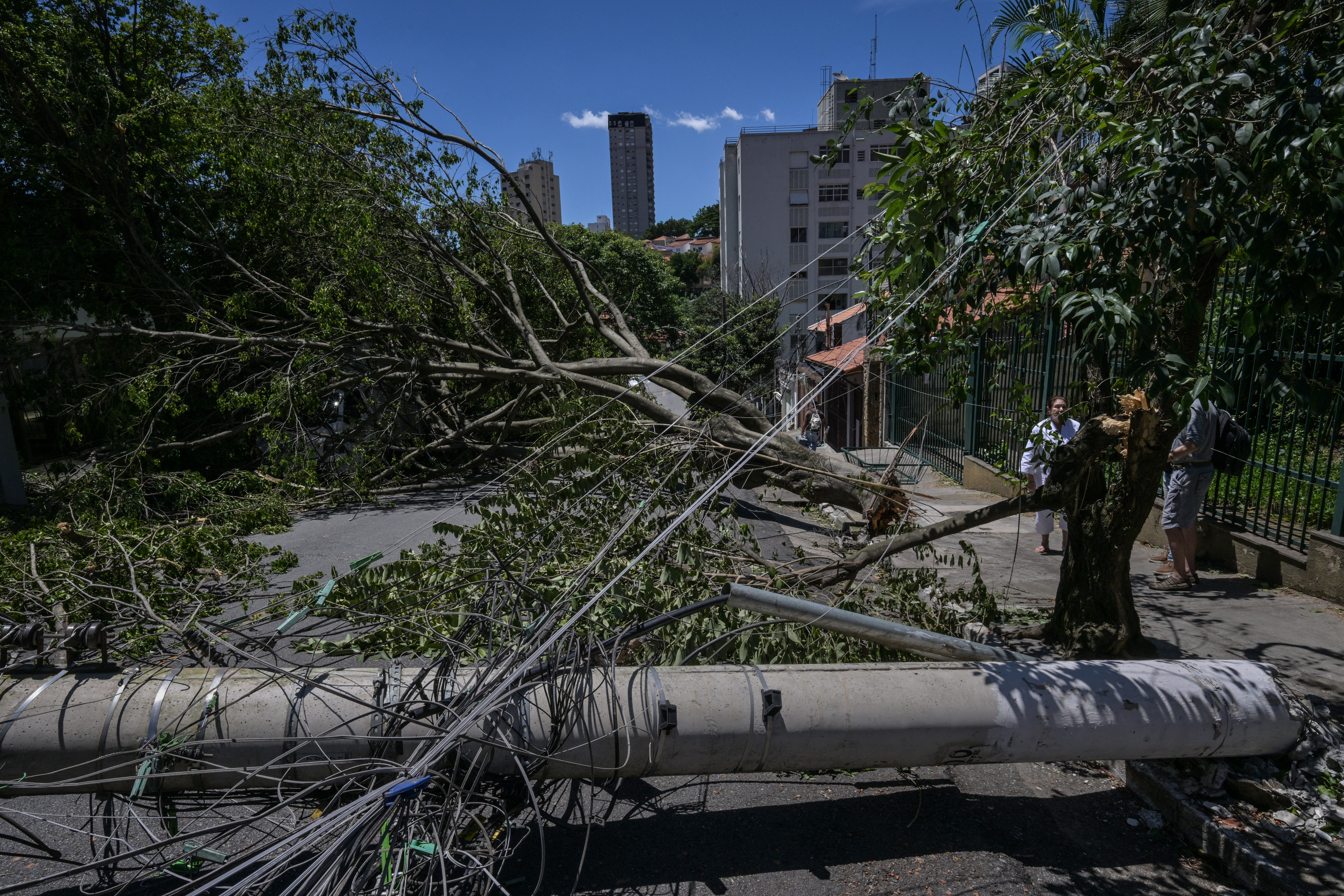 Sem luz em São Paulo: como reclamar e o que o Procon-SP está cobrando da Enel