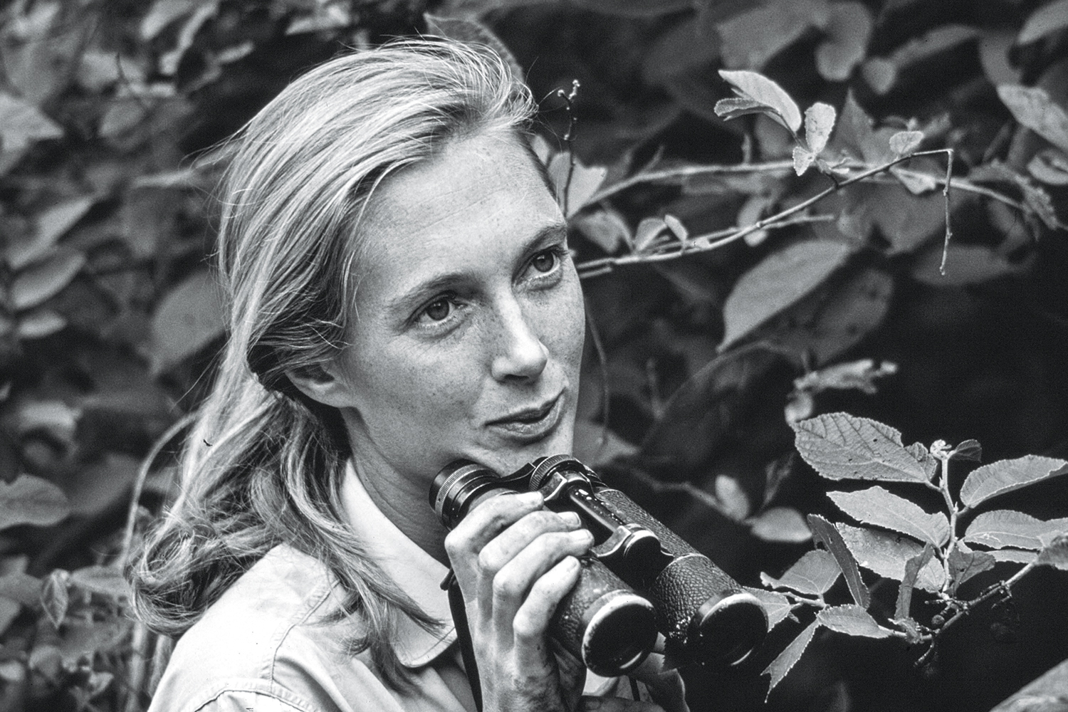 Jane Goodall