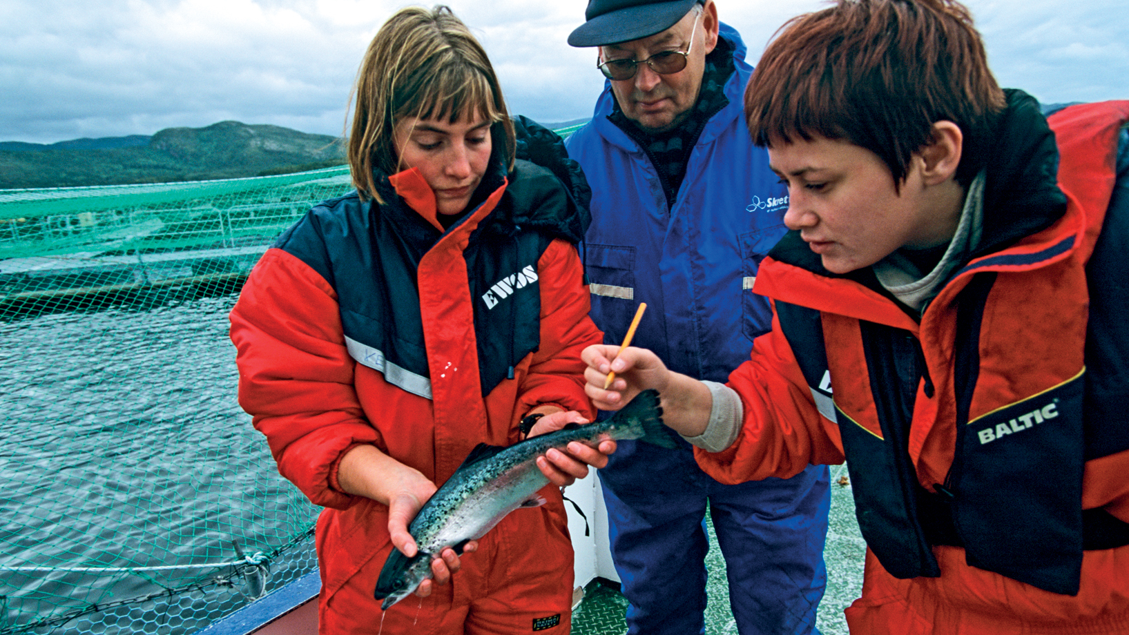 EXEMPLO -&ensp;Produ&ccedil;&atilde;o na Noruega: l&iacute;der no setor j&aacute; zerou o uso de antibi&oacute;ticos