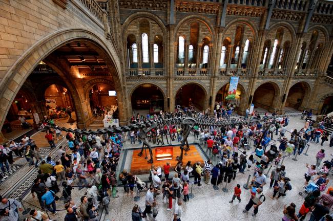 Impacto já na entrada: os visitantes são brindados com um esqueleto de uma baleia azul em tamanho real