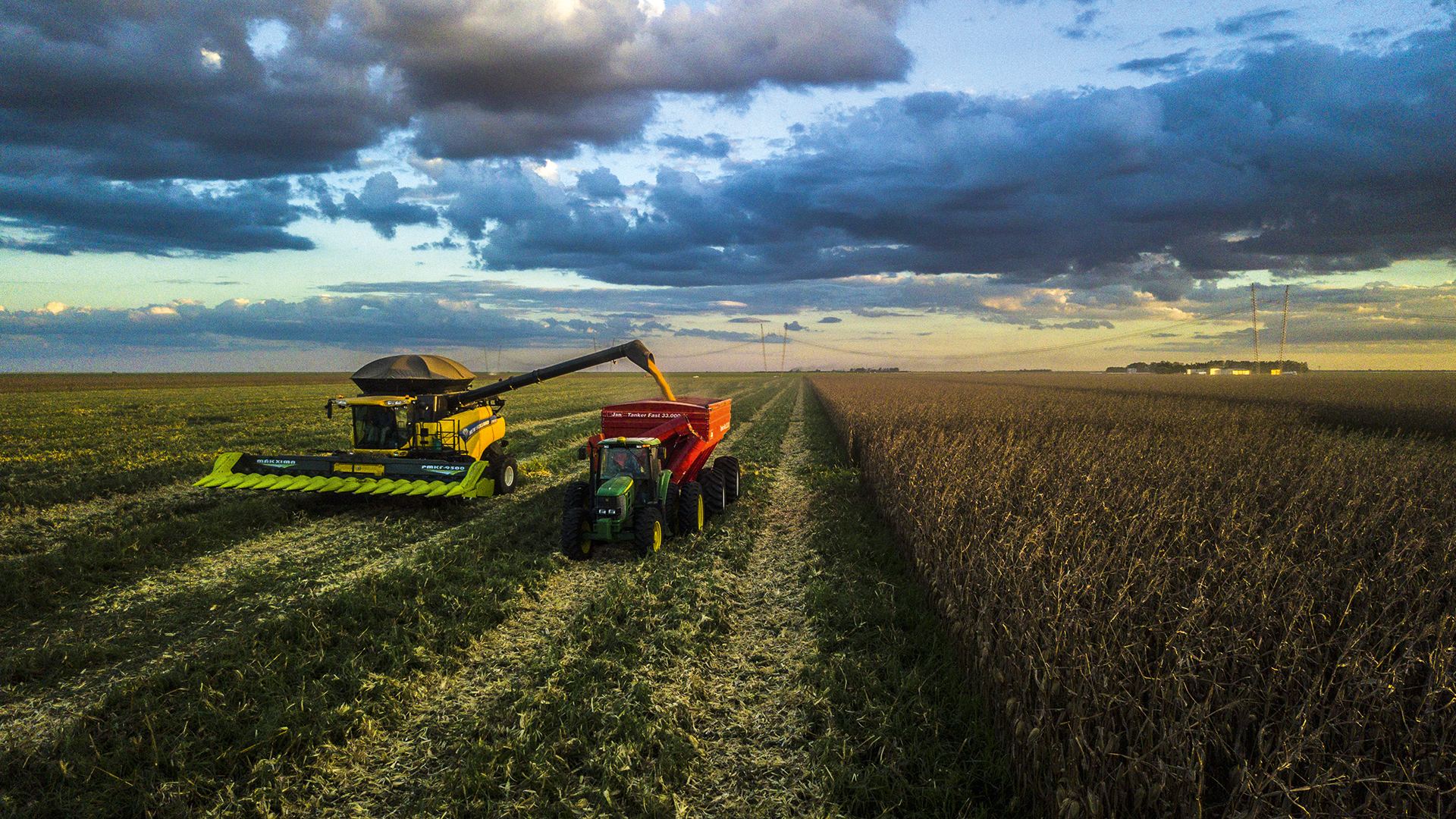 A importância do setor financeiro para um futuro mais verde no campo