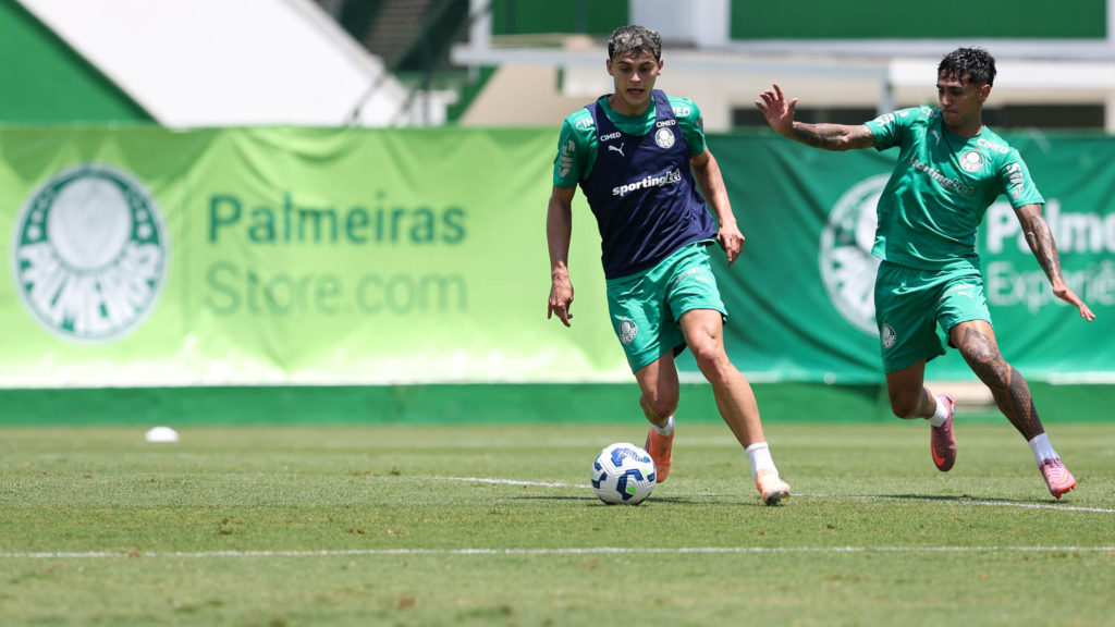 palmeiras